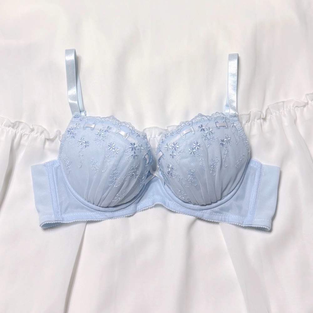 5 bras for $46! US-32C/JP-D70 Japanese Ribbon Embroidery Bra